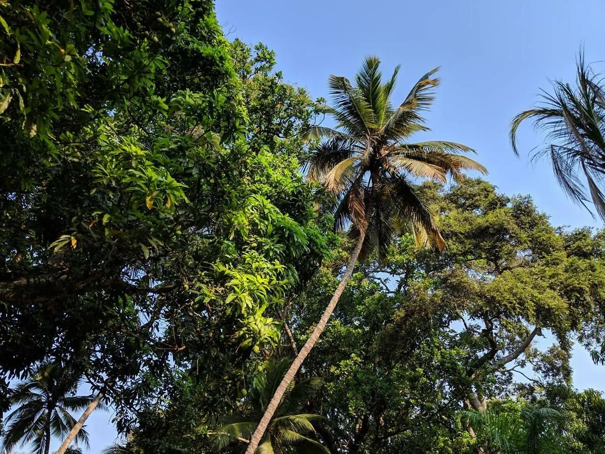 Semesterbostad Finca Paraiso Caracoli Hotell Santa Marta