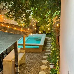 Musa Paradisiaca Hostel